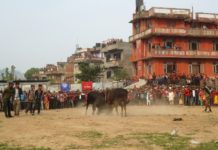 प्रथम चन्द्रागिरी महोत्सव:गोरु जुधाइ साथै रेस्लिङ