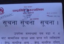 सामाजिक सुरक्षा भत्ता सम्बन्धि सुचना ।