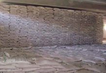 नागढुङ्गामा बिल बिनाको १ सय ३५ बोरा रसायनिक मल सहित पक्राउ