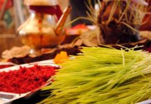 वियजा दशमी : टीकाको उत्तम साइत बिहान ११ बजेर ५१ मिनेटमा