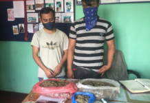 नागढुङ्गामा लागू औषध पक्राउ