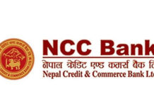 एनसीसी बैंकको बोर्ड बैठकमा सीआईबीको छापा