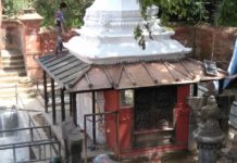 यस वर्ष मत्स्यनारायण मेला नहुने
