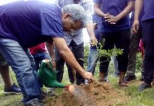 ववेकशील साझाले दहचोकमा वृक्षारोपण