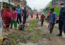 चन्द्रागिरिका स्थानियहरूले मुख्य सडक खण्डमामा धान राेपेर राष्ट्रिय धान दिवस मनाए ।