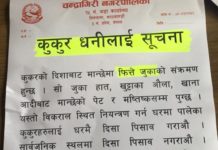 सूचना! सूचना!! सूचना!!!
