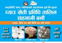च्याउ खेती प्रविधि तालिम!