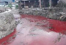 चन्द्रागिरि नगरपालिका वडा नम्बर १५ स्थित ढुङ्गाअड्डामा बग्छन् रगतकाे नदीजस्ता खाेला