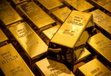 अवैध रुपमा भन्सार छलि ल्याएको सुन सहित पक्राउ gold