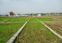 महादेवस्थान, मातातीर्थ, सतुंगल र इचङगुका व्यक्तिको जग्गा कसरी गयो ट्रष्टमा ?