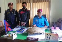 सालकको खपटासहित सतुंगलबाट एक पक्राउ