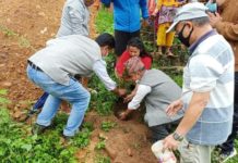 चन्द्रागिरि नगरपालिका वडा न. ४ स्थित टेकानपुर महालक्ष्मीमा वृक्षारोपण सम्पन्न