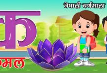 विद्यालय बन्दको असर : साना बालबालिकाले क, ख बिर्सिए