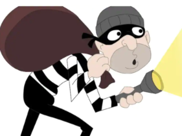 thief in chandragiri