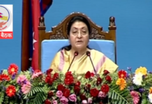 सरकारले विद्युत महसुल पुनरावलोकन गरिने