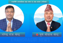 चन्द्रागिरि ११ वडाध्यक्षमा कांग्रेस १३९ र एमाले ३९ ward 11 narendra shrestha vs purna shrestha