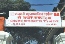 कामपाले गर्यो चालु आवमा १२३ रोपनी सार्वजनिक जग्गा संरक्षण