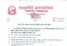 चन्द्रागिरि नगरपालिकाको डेंगी ज्वरोबाट बच्ने उपाय सम्वन्धी अत्यन्त जरुरी सूचना