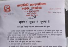 च.न.पा १२ को डेंगी ज्वरोबाट बच्ने उपाय सम्बन्धि सूचना