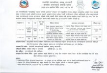 चन्द्रागिरि नगरपालिकाको सामुदायिक स्वास्थ्य अधिकृत १ र सामुदायिक नर्स १५ जना कर्मचारी आवश्यकता सूचना vaccancy open in chandragiri municipal