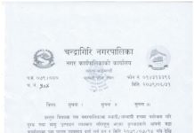 चन्द्रागिरि नगरपालिकाले घासँको बिउ निशुल्क बितरण गर्ने