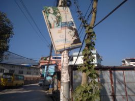 चन्द्रागिरिमा अव्यवस्थित पोष्टर, फ्लेक्स तथा होर्डिङ बोर्ड नगरपालिकाको कहिले जाला ध्यान, कर उठाउनमा नै ब्यस्त unmanage hording board in chandragiri only Busy on collecting taxes