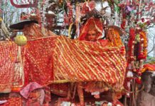 एक सय दिनमा पाथीभराको आम्दानी ६६ लाखभन्दा बढी