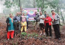चन्द्रागिरि नगरपालिका लग्लगे पाखामा बृक्षारोपण