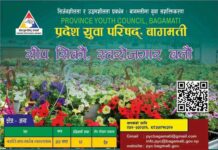 सीप सिकौं, स्वरोजगार बनौ भन्ने नाराका साथ विभिन्न क्षेत्रको सीपमुलक तालिमका संचालन हुने