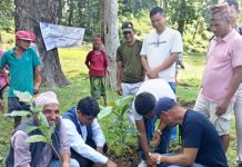 १० हेक्टर क्षेत्रफलमा बिरुवारोपण सम्पन्न