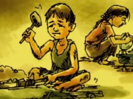 चन्द्रागिरि १३ लाई बालश्रम मुक्त वडा घोषणा गर्ने तयारी, भाद्र ९ गते अभिमुखीकरण कार्यक्रम