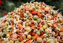 क्वाँटीको झोलले रोग प्रतिरोधात्मक क्षमता बढाउँछ